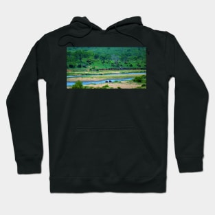 A Couple of Hippos and a Herd of Elephants on the Crocodile River Hoodie